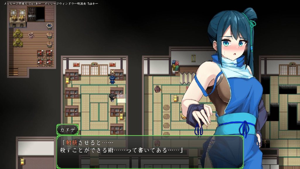 【PC+安卓/RPG/中文】女忍者-枫 官方中文版